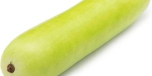 Fresh Bottle Gourd