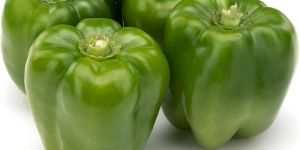 Fresh Green Capsicum