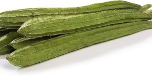 Fresh Ridge Gourd