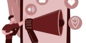 Social Media Management Services