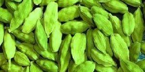 Green Cardamom
