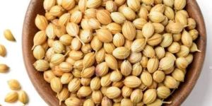 Coriander Seeds
