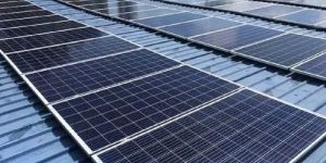 Commercial Solar Panel Plant