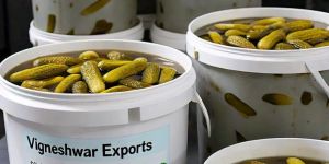 Pickled Gherkins