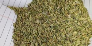 Fennel Seeds