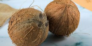 Semi Husked Coconuts