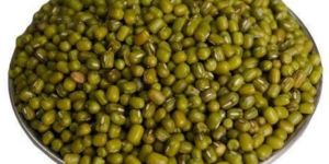 Green Moong Beans