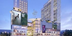 Real Estate Developer