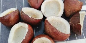 Sun Dried Malabar Copra