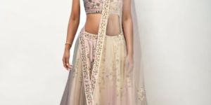 Net Dupatta Baby Pink Lehenga Choli Set Rental Service