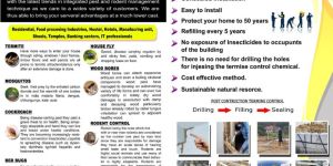 Pest Control Service