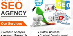 Search Engine Optimization Services