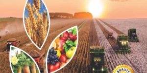 Catalog Printing Services