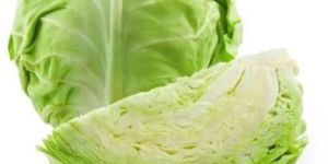 Fresh Cabbage