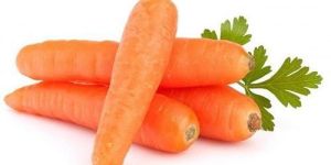Fresh Carrot