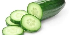 Fresh Cucumber