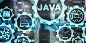 Java Product Development
