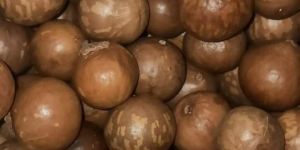 Macadamia Nuts