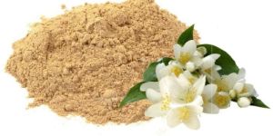 Jasmine Flower Powder