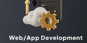 Website Development Services