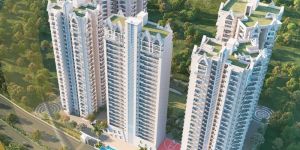 Best Real Estate Company in Noida, Delhi NCR