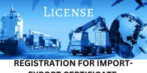 Import Export License