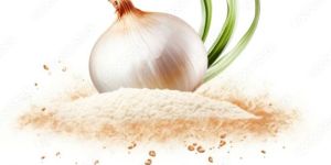 Dehydrated Onion Powder