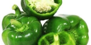 Green Capsicum