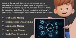 Data Mining Services