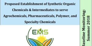 Environment Consulting Services