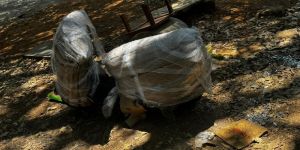 Bike Transport Service