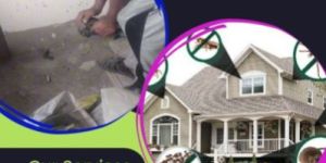 Pest Control Services