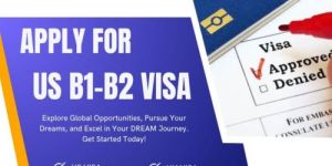 Visa Assistance Services