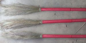Grass Broom Raw Material