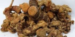 Kulanjan Roots
