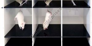 Tail Suspension Test Apparatus