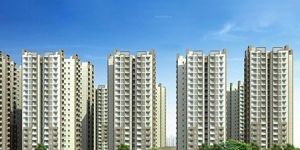 Builder & Developers