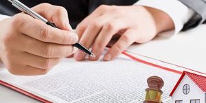 Property Legal Adviser