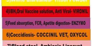 Poultry Feed Supplements