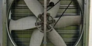 Exhaust Fan