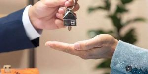 Real Estate Consultant