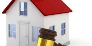 Property Legal Consultant