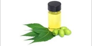 Organic Neem Oil