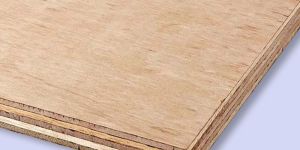 MBS Plywood