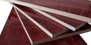 Shuttering Plywood