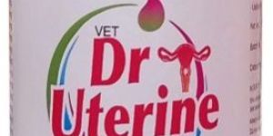 (Uterine Tonic For Cattle) (Dr. Uterine 500 ML.)