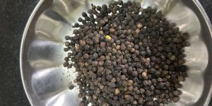 Black Pepper