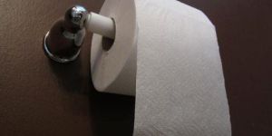 Toilet Paper Rolls