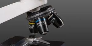 Microscope Objective Lens