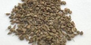 Ajwain Seeds